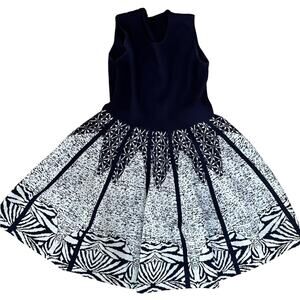 Interdee Paris Blue and White Sleeveless Fit and Flare Scoop Neck Dress Large